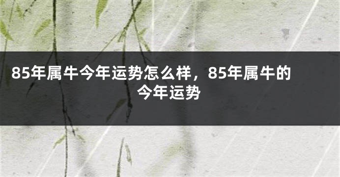 85年属牛今年运势怎么样，85年属牛的今年运势