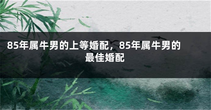 85年属牛男的上等婚配，85年属牛男的最佳婚配