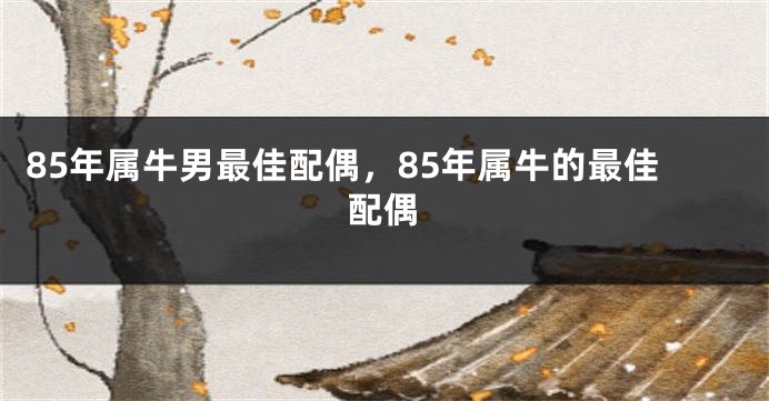 85年属牛男最佳配偶，85年属牛的最佳配偶