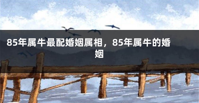 85年属牛最配婚姻属相，85年属牛的婚姻