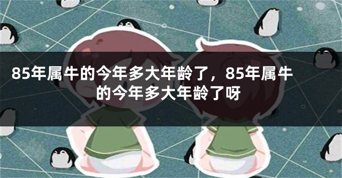 85年属牛的今年多大年龄了，85年属牛的今年多大年龄了呀