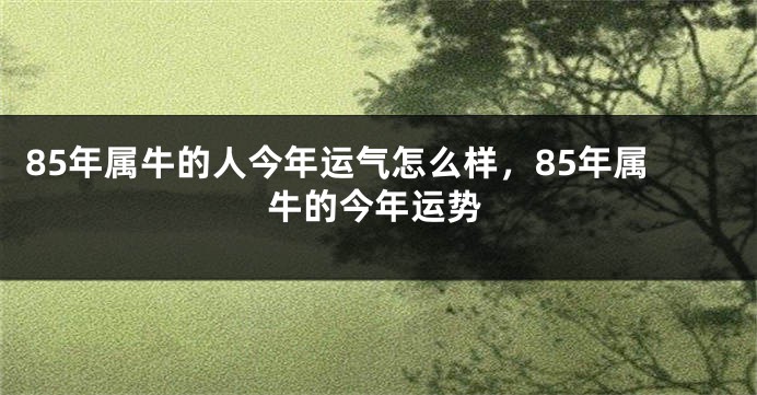85年属牛的人今年运气怎么样，85年属牛的今年运势