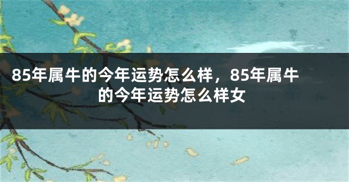 85年属牛的今年运势怎么样，85年属牛的今年运势怎么样女