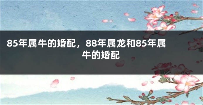 85年属牛的婚配，88年属龙和85年属牛的婚配