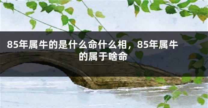 85年属牛的是什么命什么相，85年属牛的属于啥命